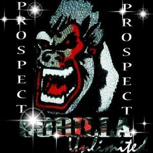 Meet your Posher, Broderick